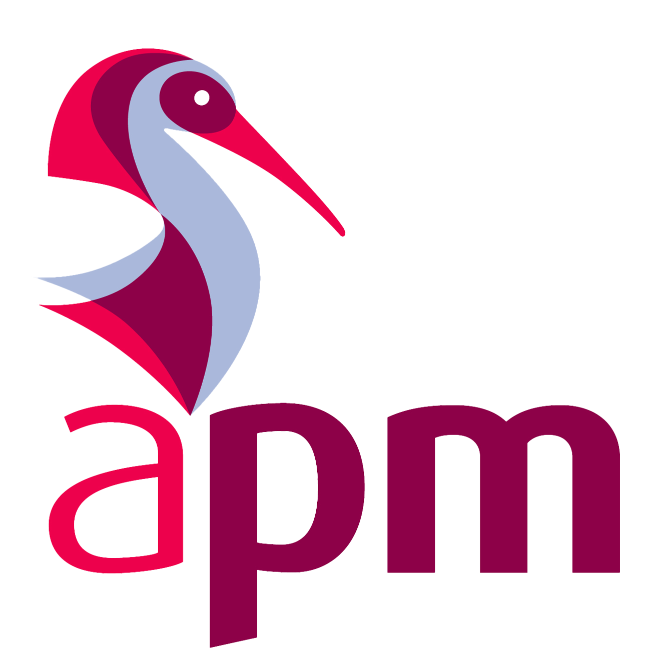 services_apm_logo